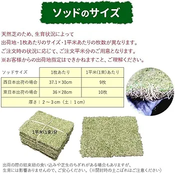 Amazon.co.jp: NITTO SEKKO 天然芝 高麗芝 芝生 鹿児島産 NT22